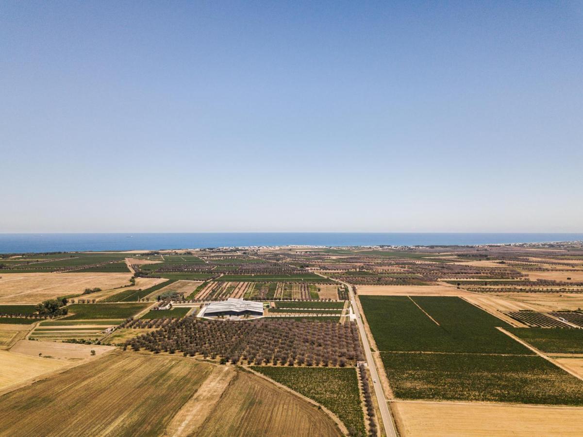 Masseria Torleanzi Wine Relais Сан-Пьетро-Вернотико Экстерьер фото